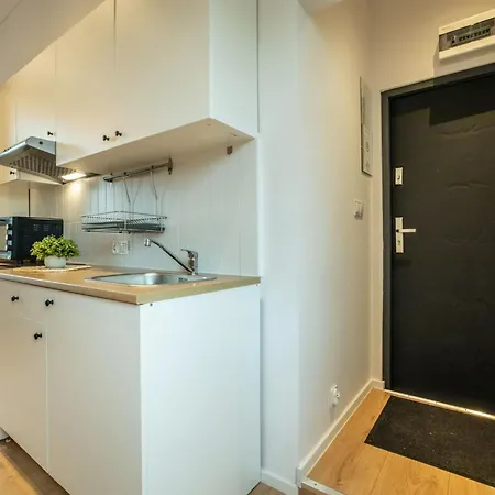 Studio Mielczarskiego C Apartment