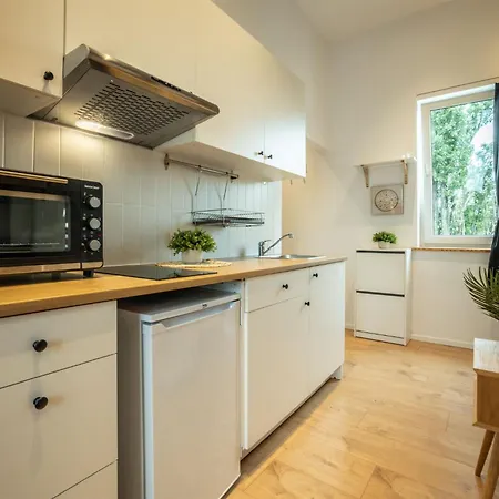 Studio Mielczarskiego C Apartment *